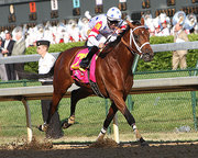 Imagination in Full Throttle – Fresh 3D Face of Online Horse Racing Games