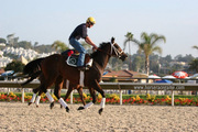 Virtual Horse Racing Games Sport the Breeder's Cup Simulations - Get Started!