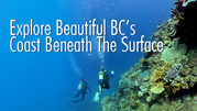 Fun Oriented Scuba Diving Courses