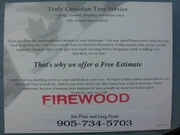 Tree Service