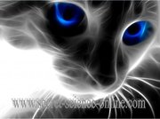 Oracular and psychological ON-LINE counseling