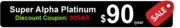 Website Hosting Service