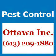  Pest Control Ottawa Inc.
