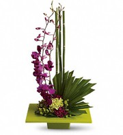 Calgary Flower Delivery