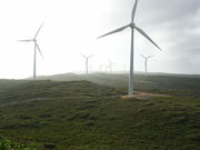   Renewable energy finance,  loan,  Wind energy finance,  Solar,  Biofuel