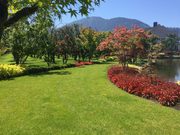 Chilliwack Lawn Mowing - Transformations Landscaping