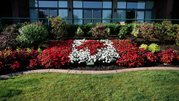  Get Quality Abbotsford Lawn Mowing
