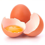 Latest Egg Technology by Ecovatec
