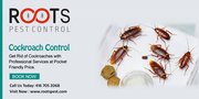Cockroach Control and Extermination | Excellent Pest Control