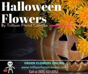Celebrate 2019 Halloween with Best Flower Shops Toronto