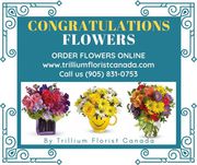 Congratulations Flowers by Trillium Florist Canada