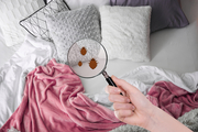  Bed Bug Heat Treatment FAQ