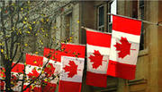 Free Immigration Consultation Canada