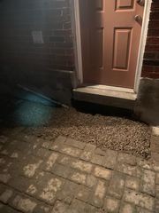 MT Drains & Plumbing Company Barrie