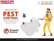 Mouse Control Abbotsford