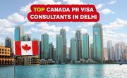 Best Visa Consultants in Delhi,  India  | Aspire World Immigration 