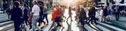 Ontario Employment Services Provider | PeelCareer