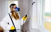 Pest Exterminator