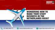 Why The Netherland is known as the hub for high tech Industry