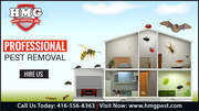 Bed Bug Exterminator in Toronto