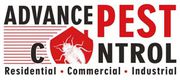Bed Bug Control New Westminster