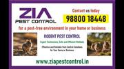 Rodent Pest Control  Residences and Apartments |