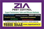 Zia Pest control | General and Garden Pest control services Bangalore 