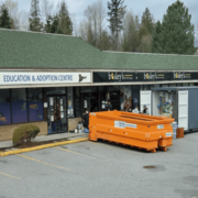 Affordable Dumpster Rentals in Surrey | Reliable Disposal Bin Services