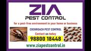 Cockroach Pest Control Upto 30% Discount | Bed Bugs Pest service | 