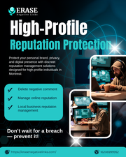 Personal Brand Protection Services for High-Net-Worth Clients Montreal