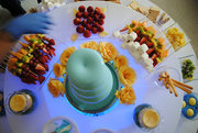 Amazing Chocolate Fountain Rental